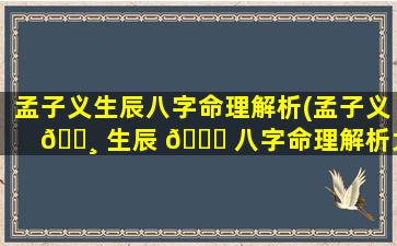 孟子义生辰八字命理解析(孟子义 🕸 生辰 🐞 八字命理解析大全)